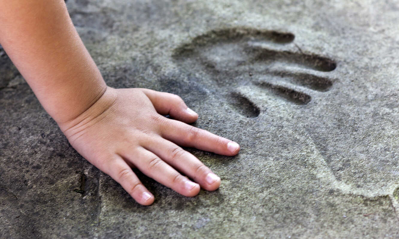 The Carbon Handprint Measuring positive environmental impact Horváth