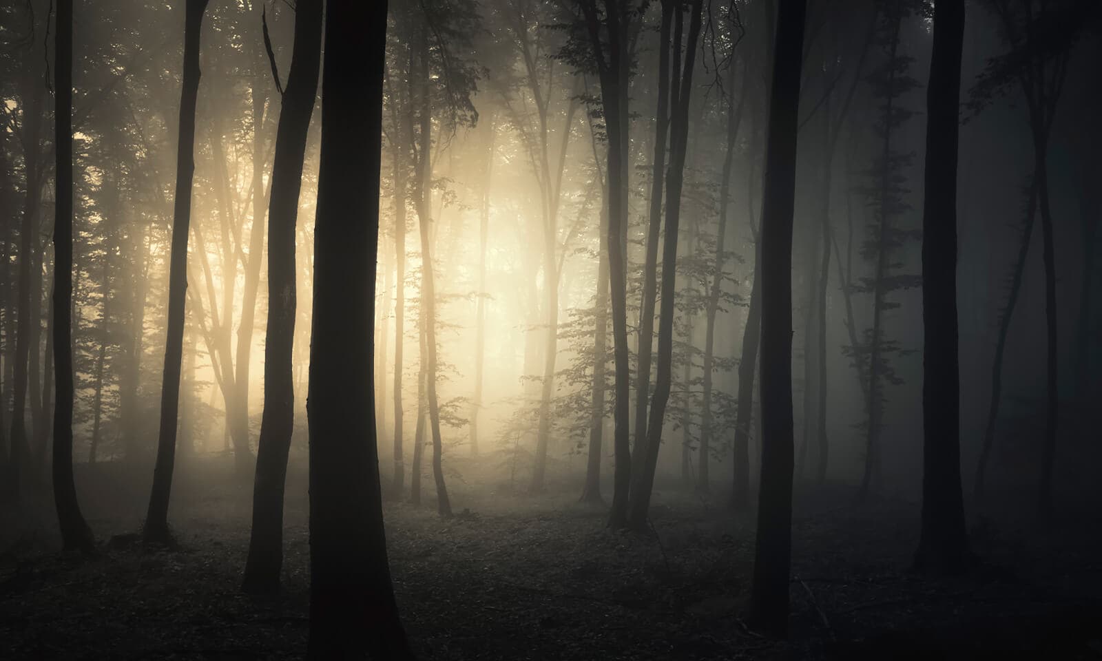 The nightmare competitor method: How we can arm ourselves against our ...