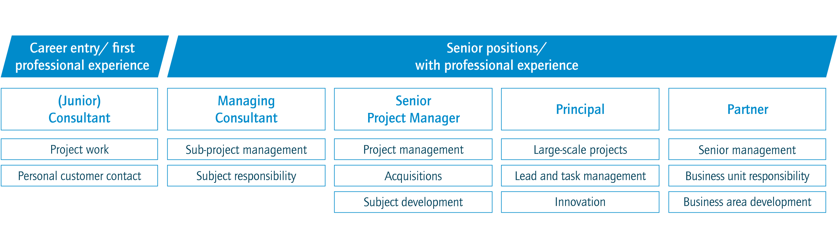 Your Entry Onboarding Mentoring Networking Horvath
